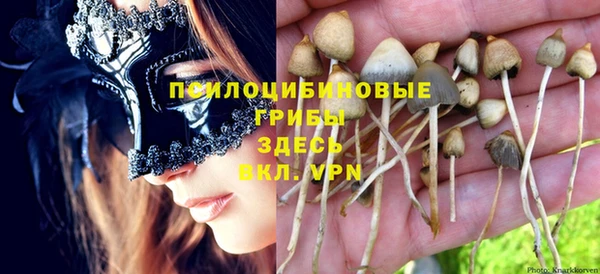 дмт Бронницы