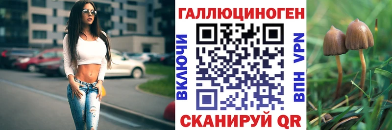 Купить где  Наро-Фоминск  Галлюциногенные грибы GOLDEN TEACHER 